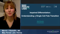 Thumbnail for Short Talk: Impaired Differentiation: Understanding a Single Cell State Transition