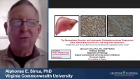 Thumbnail for The Desmoplastic Reaction and Intrahepatic Cholangiocarcinoma Progression: CAFs, Select Molecular Drivers, and Prognostic Implications