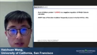 Thumbnail for Short Talk: Requirement of Hippo Signaling Cascade during AXIN1 Mutation Driven Hepatocarcinogenesis