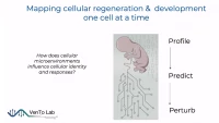 Thumbnail for Mapping the Temporal and Spatial Dynamics of the Human Endometrium in vivo and in vitro