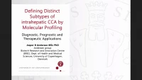 Thumbnail for Defining Distinct Subtypes of Intrahepatic Cholangiocarcinoma by Molecular Profiling: Diagnostic, Prognostic, and Therapeutic Applications