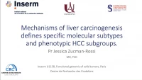 Thumbnail for Mechanisms of Liver Carcinogenesis Define Specific Molecular and Phenotypic HCC Subgroups