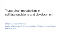 Thumbnail for Short Talk: The Role of Tryptophan Metabolism in Cell Fate Decisions and Development