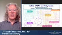 Thumbnail for Metabolic Remodeling in Cancer and Infection
