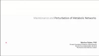Thumbnail for Dynamics in Metabolic Networks