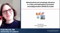 Thumbnail for Short Talk: Mitochondrial and Autophagy Alteration in a Fatty Acid Hydroxylase-Associated Neurodegeneration Fly Model