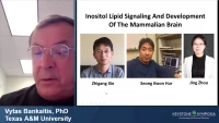 Thumbnail for Inositol Lipid Signaling and Development of the Mammalian Brain