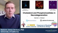 Thumbnail for Cholesterol and Phosphoinositides in Neurodegeneration