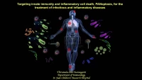 Thumbnail for Targeting the PANoptosome for the Treatment of Inflammatory and Infectious Diseases