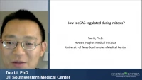 Thumbnail for Short Talk: How cGAS Is Regulated during Mitosis