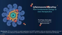 Thumbnail for Inflammasomes: From Fundamental Biology to New Therapeutics
