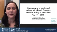 Thumbnail for Short Talk: Discovery of a Neutrophil Subset with B Cell Features and the Ability to Modulate CD4+ T Cells