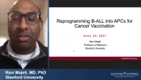 Thumbnail for Reprogramming B-ALL into APCs for Cancer Vaccination
