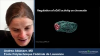 Thumbnail for DNA Sensing Pathways