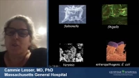 Thumbnail for Leveraging Bacterial Secretion Systems to Develop Therapeutic Designer Probiotics