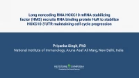 Thumbnail for Long noncoding RNA HOXC10 mRNA stabilizing factor (HMS) recruits RNA binding protein HuR to stabilize HOXC10 3’UTR maintaining cell cycle progression