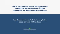 Thumbnail for SARS-CoV-2 infection induces the expression of lncRNAs involved in class I MHC antigen presentation and antiviral interferon response