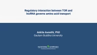 Thumbnail for Regulatory interaction between TOR and lncRNA governs amino acid transport