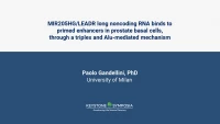 Thumbnail for MIR205HG/LEADR long noncoding RNA binds to primed enhancers in prostate basal cells, through a triplex and Alu-mediated mechanism