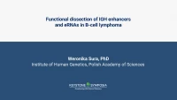 Thumbnail for Functional dissection of IGH enhancers and eRNAs in B-cell lymphoma