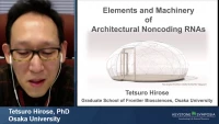 Thumbnail for The Elements and Machinery of Architectural Long Noncoding RNAs