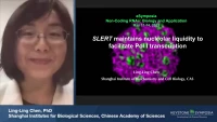 Thumbnail for lncRNA SLERT Maintains Nucleolar Liquidity to Facilitate Pol I Transcription