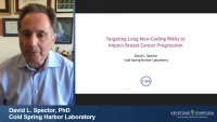 Thumbnail for Targeting Long Noncoding RNAs to Impact Breast Cancer Progression