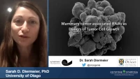 Thumbnail for Mammary Tumor Associated RNAs as Drivers of Tumor Cell Growth and Metastasis