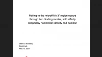 Thumbnail for Short Talk: Pairing to the MicroRNA 3′ Region Occurs through Two Alternative Binding Modes, with Affinity Shaped by Nucleotide Identity as well as Pairing Position