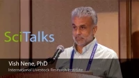 Thumbnail for Novel Tools and Genomics Approaches Supporting Vaccine Development
