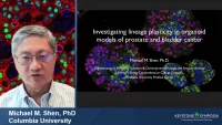 Thumbnail for Investigating Lineage Plasticity in Organoid Models of Prostate and Bladder Cancer