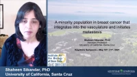 Thumbnail for Short Talk: Identification of a Minority Population in Breast Cancer that Integrates into the Vasculature and Initiates Metastasis