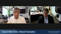 Thumbnail for Cancer Stem Cells: Clinical Translation