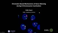Thumbnail for Chromatin-Based Mechanisms of Gene Silencing during X-Chromosome Inactivation
