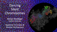 Thumbnail for How Does Structural Flexible Chromatin Regulate Reliable Gene Expression?