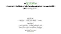 Thumbnail for Transcription Dynamics during Early Drosophila Development