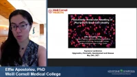 Thumbnail for Postmitotic Molecular Resetting of Pluripotent Stem Cell Identity