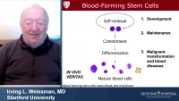 Thumbnail for Normal and Neoplastic Stem Cells
