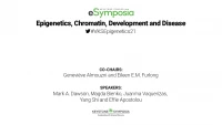 Thumbnail for Epigenetics, Chromatin, Development and Disease