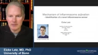 Thumbnail for Inflammasome Activation Mechanisms