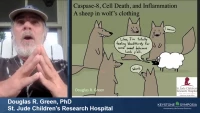 Thumbnail for Regulated Necroptosis in Inflammation