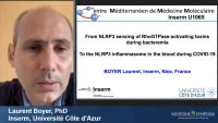 Thumbnail for Short Talk: From NLRP3 Sensing of RhoGTPase-Activating Toxins during Bacteremia to the Analysis of the NLRP3 Inflammasome Signature during COVID-19
