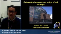 Thumbnail for Cytoskeletal Exposure as a Sign of Cell Damage