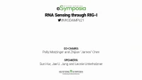 Thumbnail for RNA Sensing through RIG-I