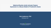 Thumbnail for Spherical Nucleic Acids Activate Frataxin Expression in a Mouse Model of Friedreich’s Ataxia