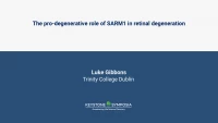 Thumbnail for The pro-degenerative role of SARM1 in retinal degeneration
