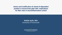 Thumbnail for Amino acid modification of vitamin K-dependent proteins in mouse brain glial cells: implications for their roles in neuroinflammation control