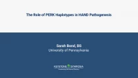 Thumbnail for The Role of PERK Haplotypes in HAND Pathogenesis