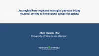 Thumbnail for An amyloid beta-regulated microglial pathway linking neuronal activity to homeostatic synaptic plasticity