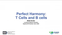 Thumbnail for Design of Vaccines to Elicit Conventional (la)-restricted CD8 T Cell Responses